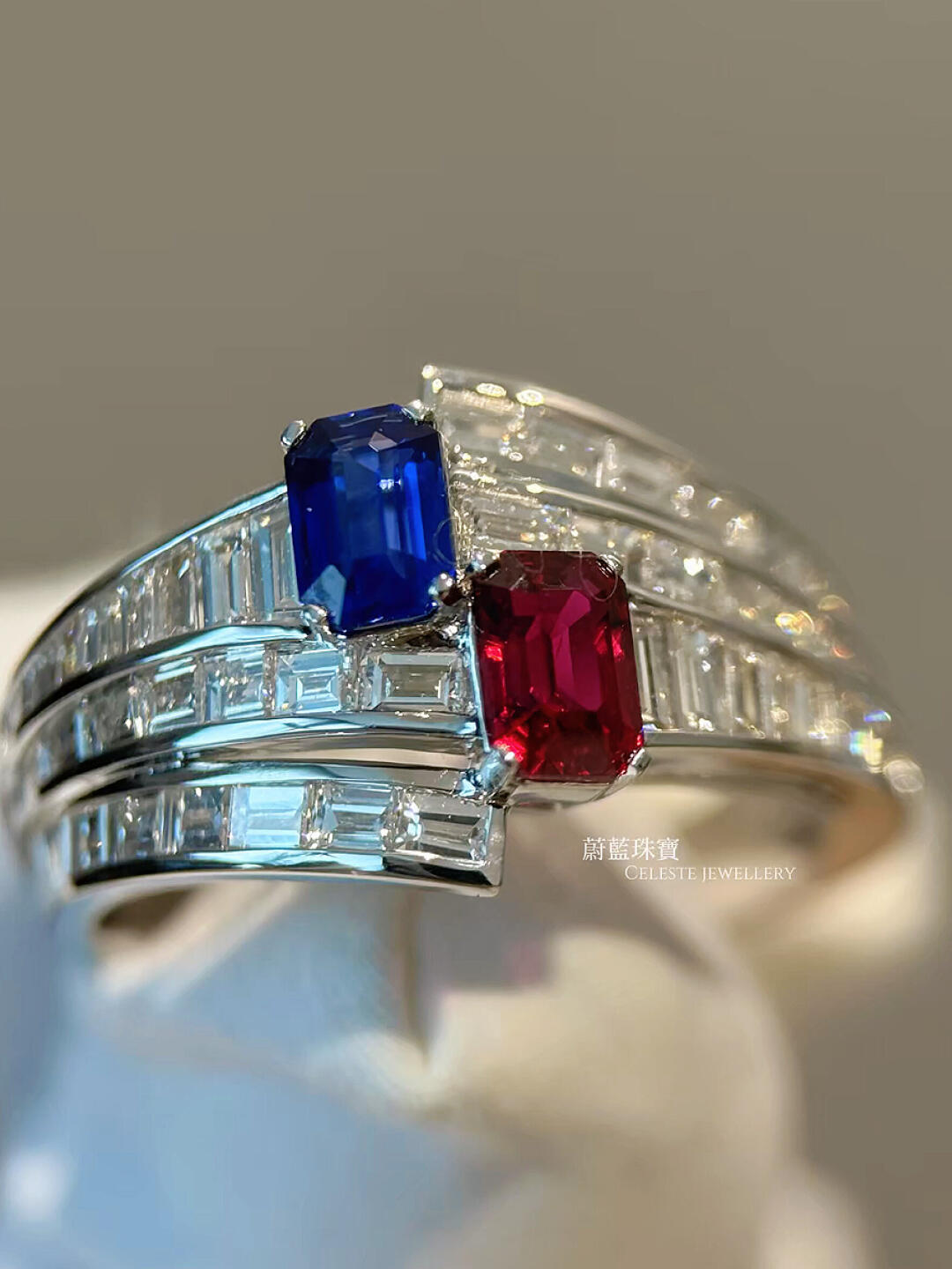 Reason and Passion in a Red-and-Blue Pair